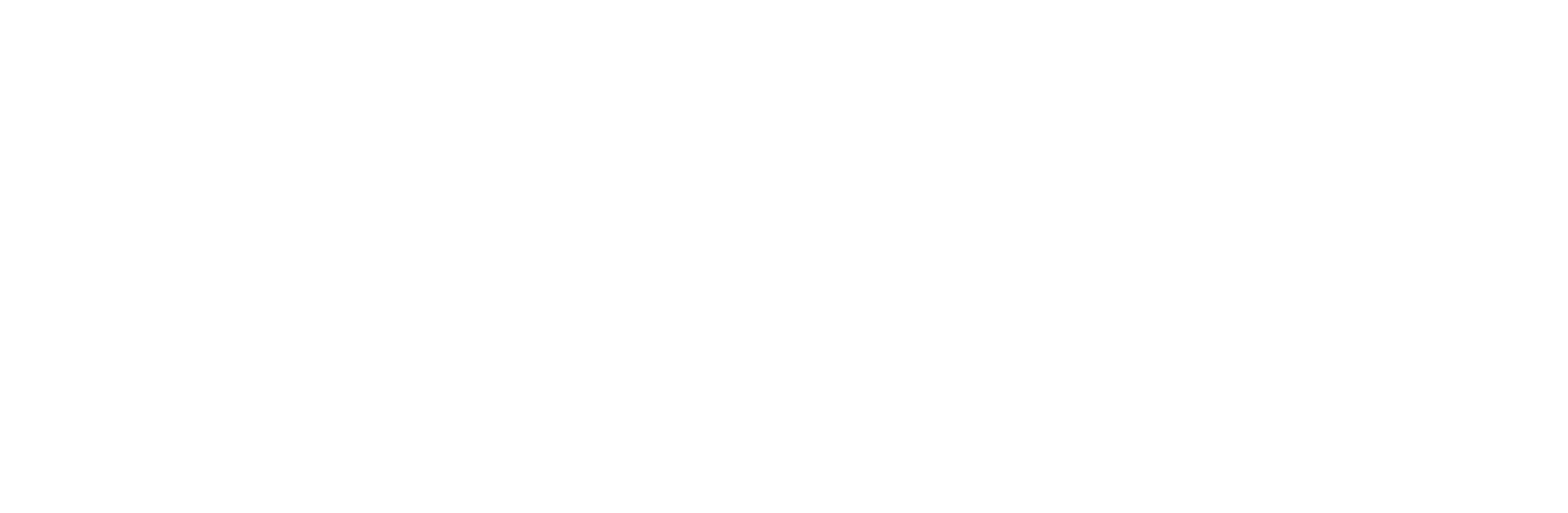 Boerman Groep Logo Diap